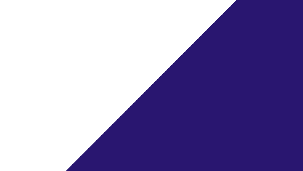 Festa Bianco Blu 2025